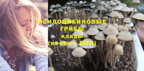Альфа ПВП Осташков