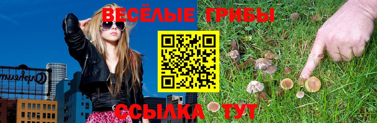 Советск  Галлюциногенные грибы Cubensis  Вход с VPN  Псилоцибиновые грибы Magic Shrooms 